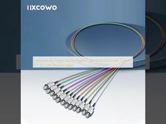 ネットワーク 4g シングル モード ピグテール 1.5M テレコム グレード 0.9mm FC 12 コア丸頭