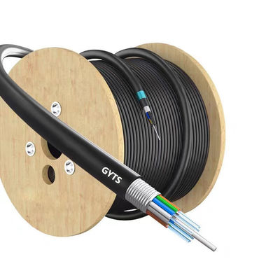 購入 Direct Buried GYTA/GYXTW/GYTS/GYFTS Armored Fiber Optic Cable with Rodent Proof Design オンライン製造