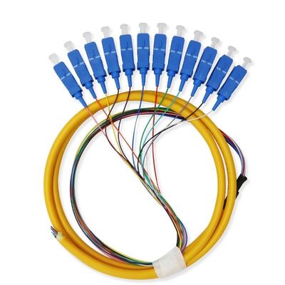 購入 12 Core Single Mode SC Fiber Pigtail Cable for Networks Communication System Flexible オンライン製造