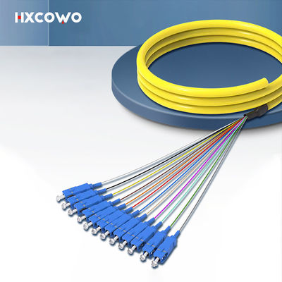 購入 HXCOWO SC Fanout SM 12 Core Fiber Optic Bundle Pigtail PVC LSZH Wavelength 850nm/1310nm/1550nm オンライン製造