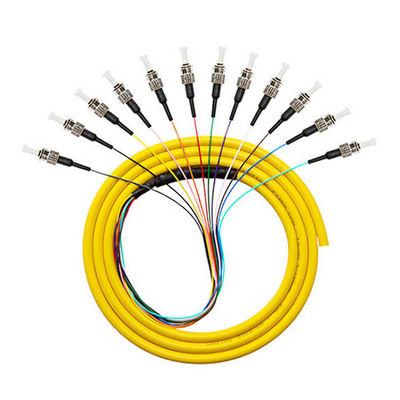 購入 12 Cores 12F 9/125 0.9mm ST Singlemode FTTH Fiber Optic Pigtail Wavelength 1310nm オンライン製造