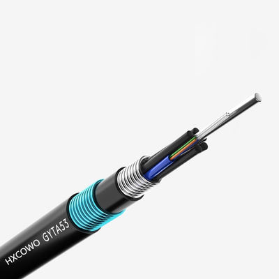 購入 HXCOWO GYTA53 48 Core G652D PE Underground Armored Fiber Optic Cable with LSOH Jacket オンライン製造